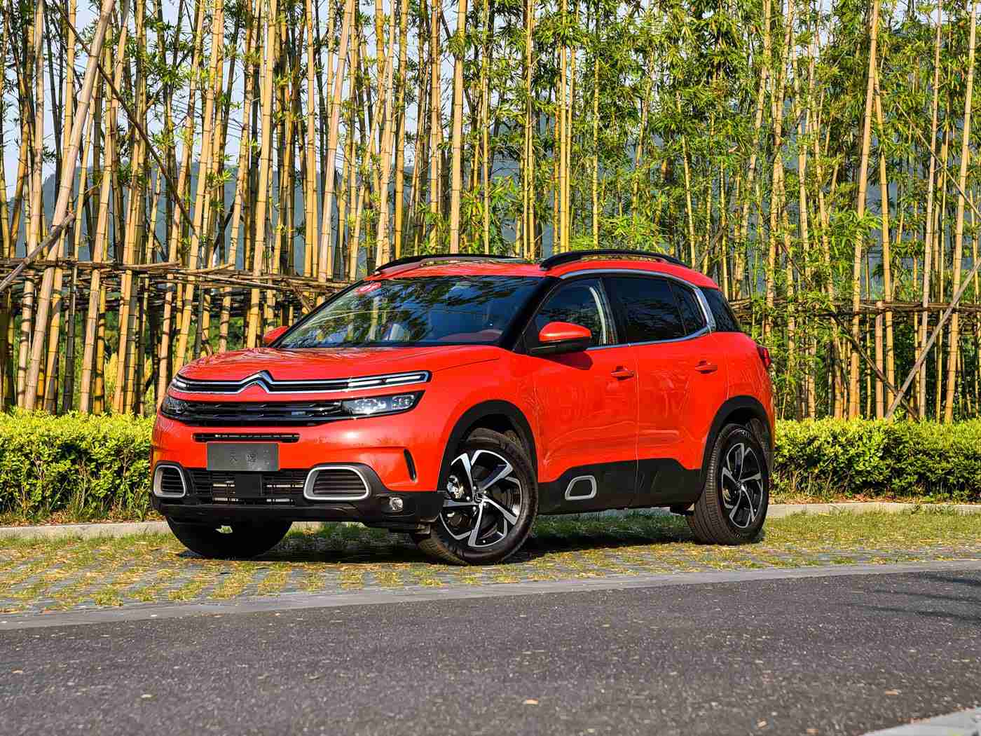 婷婷五月天丁香：春日自驾选车指南，舒适安全畅游花海-2