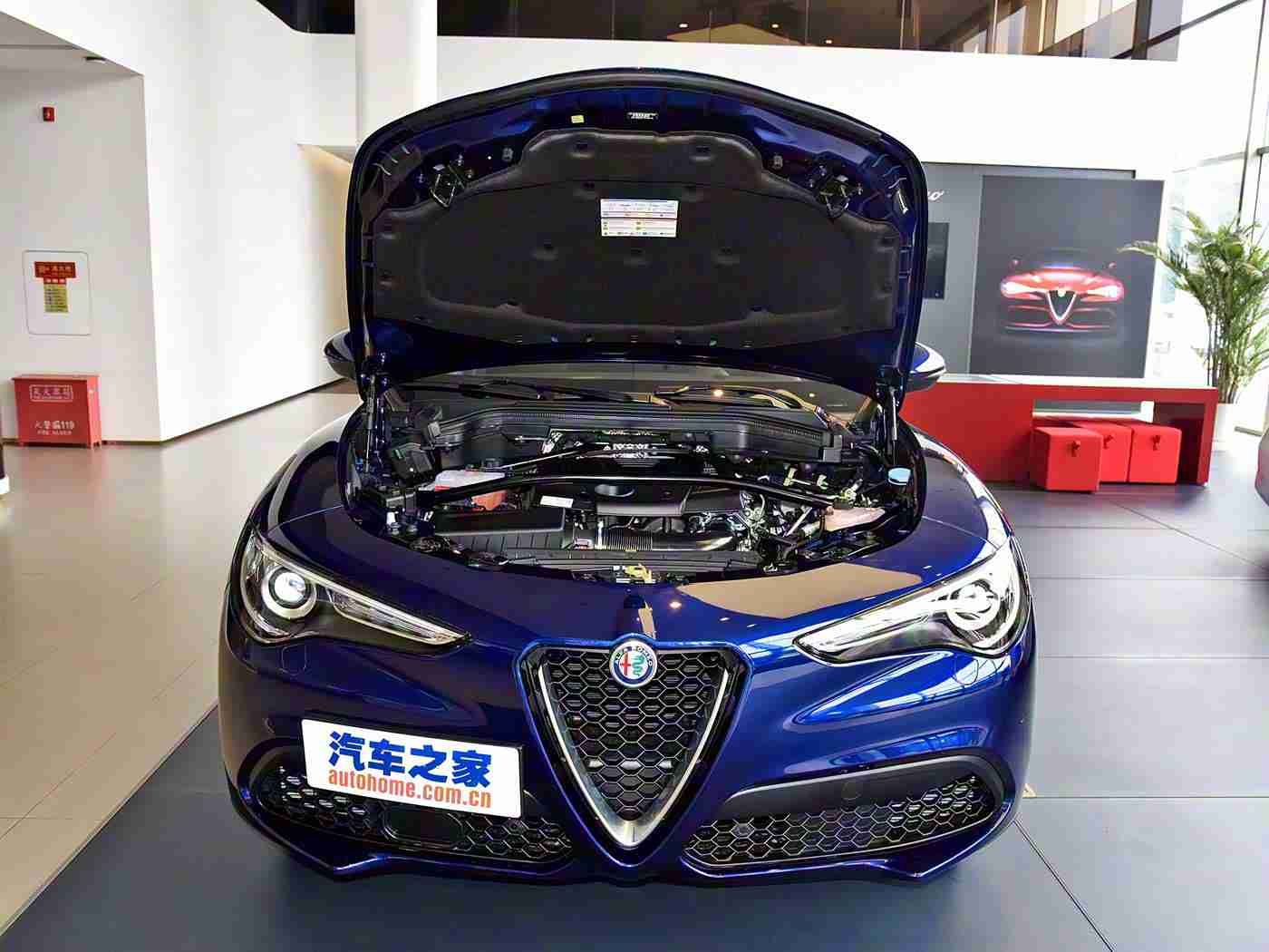 男生女生一起搓搓：双人方向盘，共驭生活甜蜜旅程-1