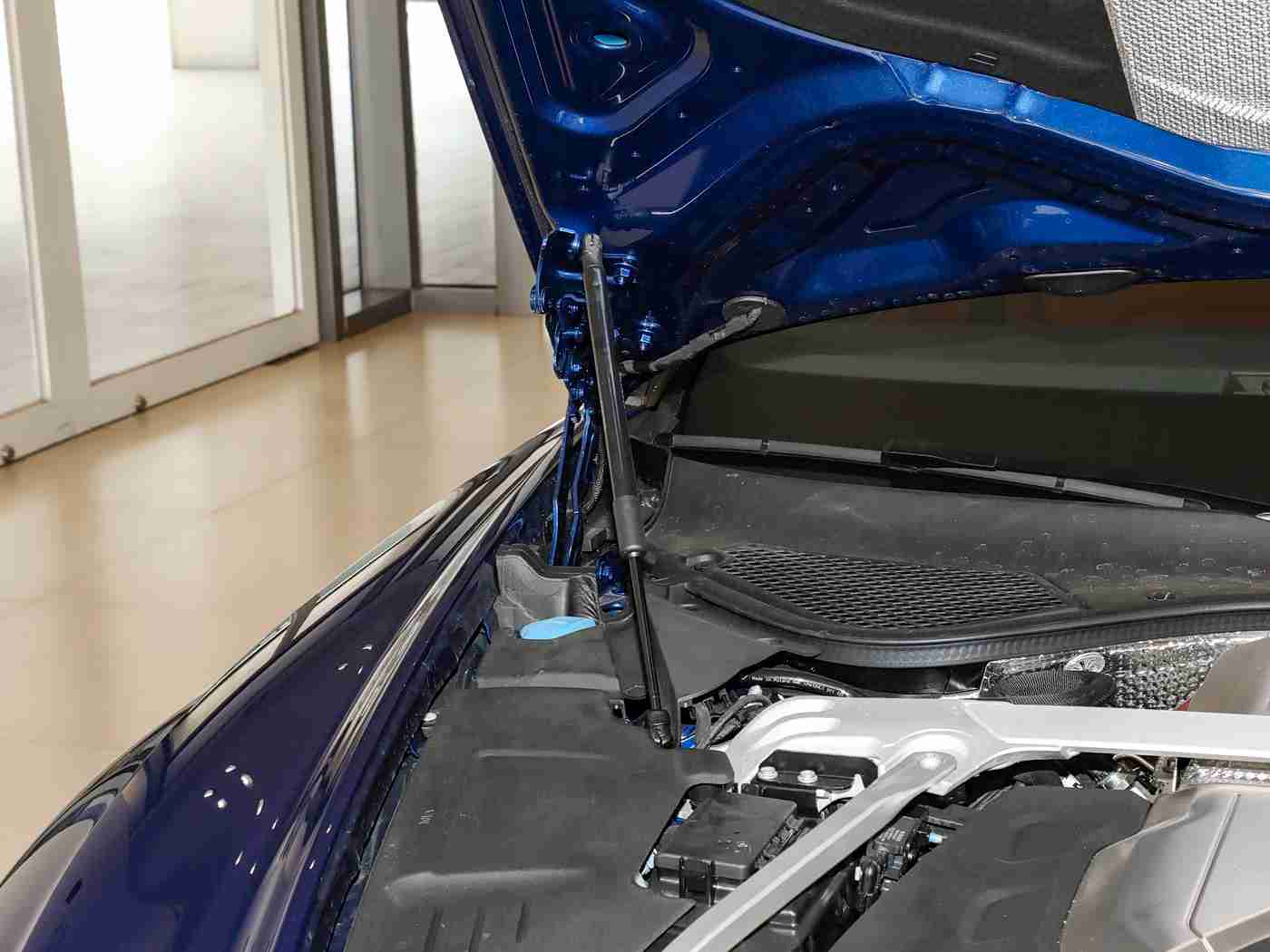 张柏芝殖器2一13集：从经典到现代，汽车进化全攻略，选车用车一网打尽-1