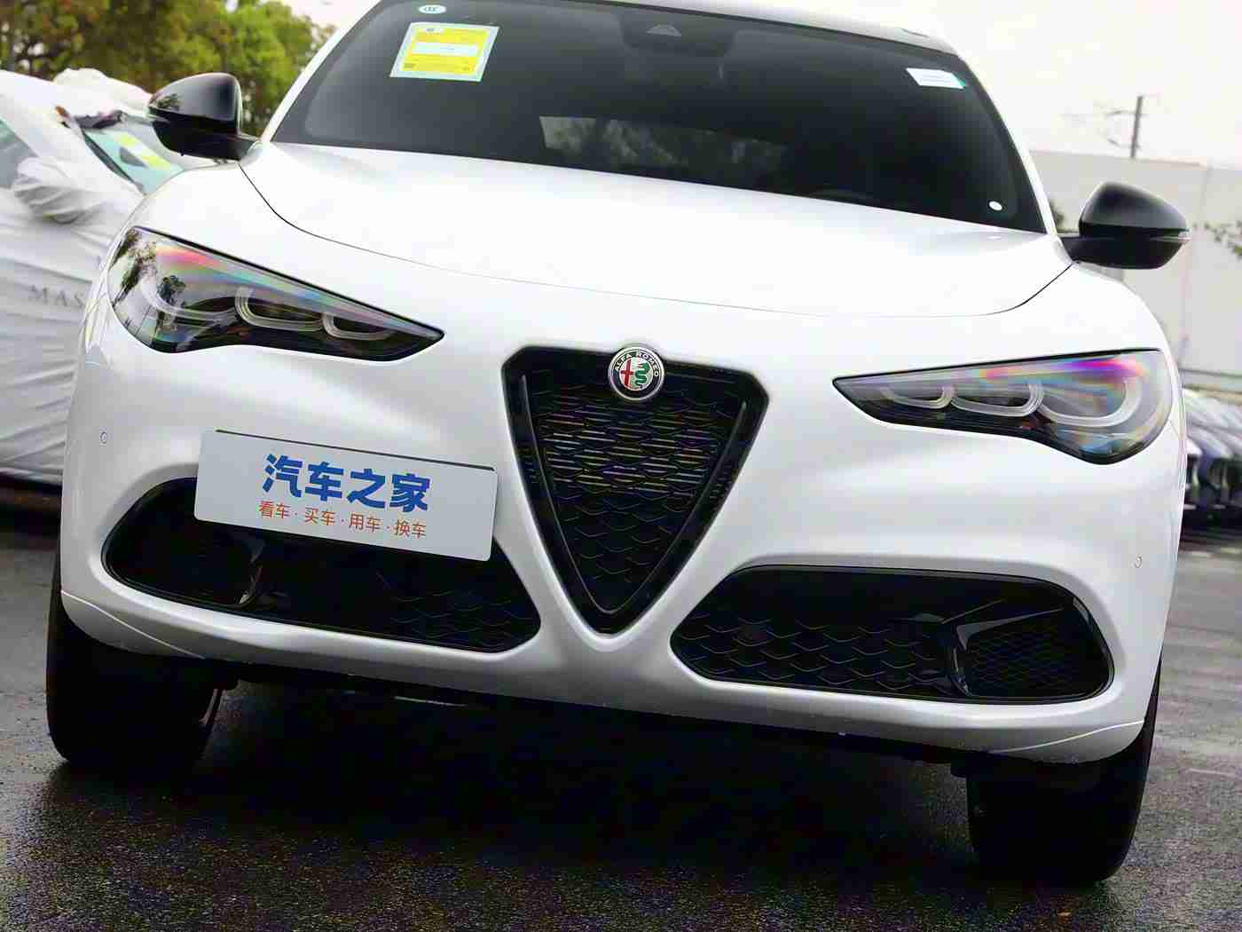 <玛露和园丁>意大利-1