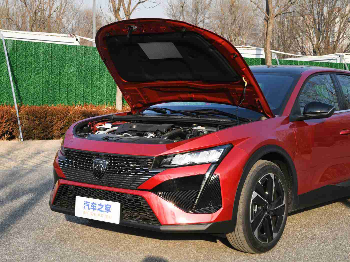 色多多:驾驭个性,选对色彩让爱车更出众-2