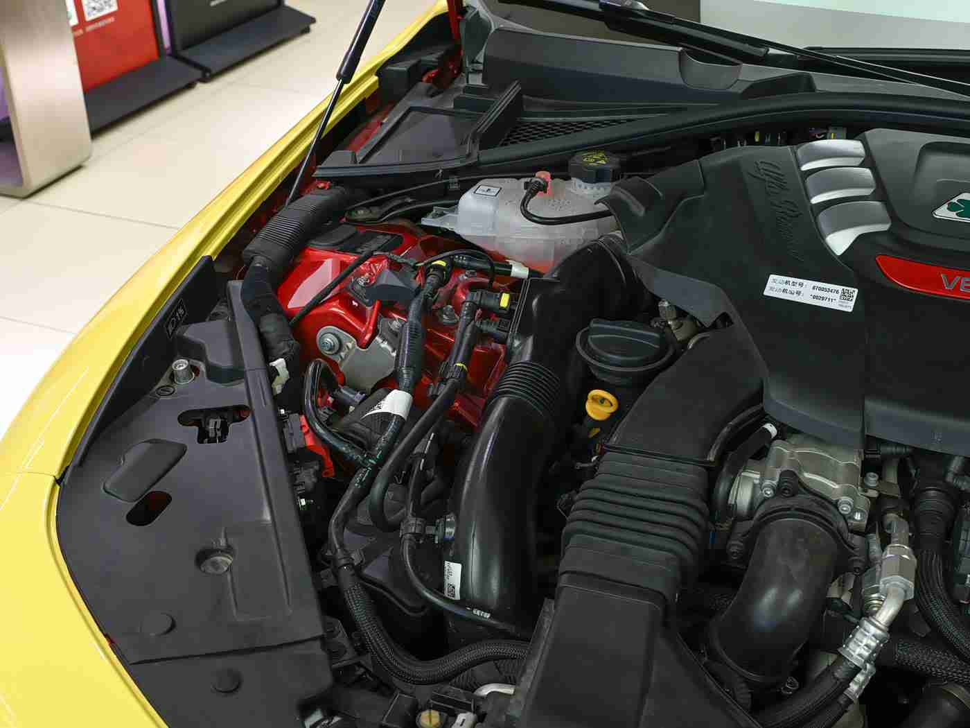 五月天丁香花:激情与优雅并存,运动豪华轿跑选购指南-1