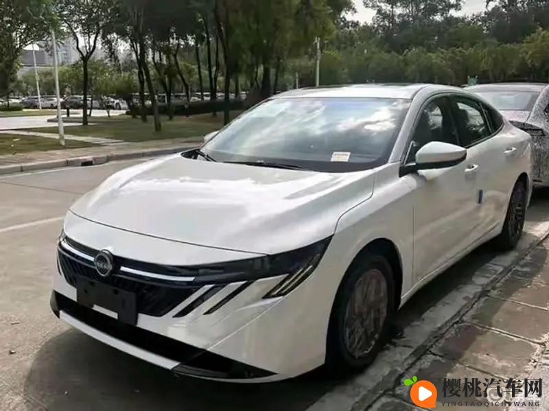 折磨奴役性受虐狂:沉迷于痛苦与被奴役的快感之人-1