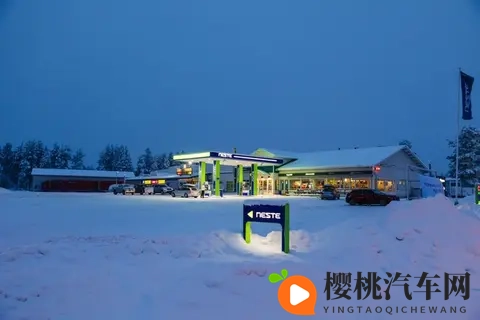 残虐极端疼痛拳:挑战驾驶极限:揭秘极致快感!-2