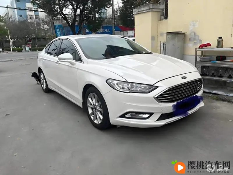 小马拉大车妈妈真实：真实记录：小力承受重担的母亲故事-1