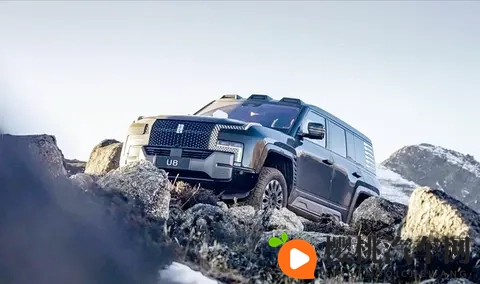 比亚迪跌落神坛？44万辆月销仍失冠，背后暗藏三大危机！-1