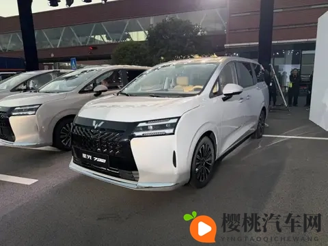 官方指导价730-1098万元 五菱星光730正式上市-2