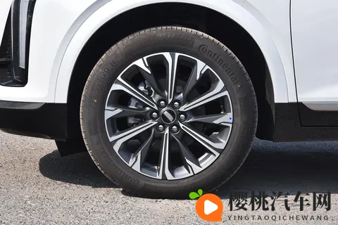 男和女一起差差差APP:打破性别界限,共享驾驶新体验,差差差APP引关注-2