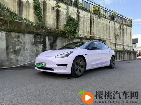 一手紫色Model3，54万公里，圆你特斯拉梦？-2