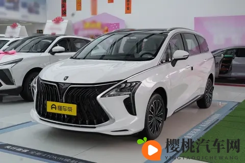 新车｜售1549万元起_15T插混中型MPV，东风风行游艇PHEV上市-1