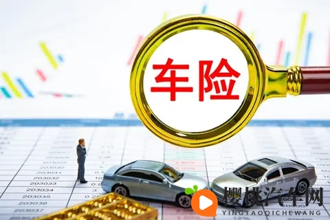 一年没出险，保费白花了？三招帮你省保费，每一分都不浪费！-1