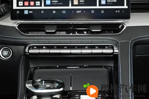 吉利星瑞东方耀:以五大豪华重塑燃油车价值标杆,67万用户的答案-3