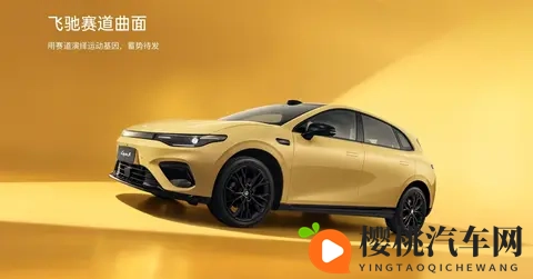 从卖不动的冷门车到月销七万, 双门轿跑竟是零跑的执念与翅膀-3