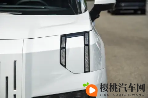 极氪009：国产高端MPV的崛起，比库里南还霸气？-2