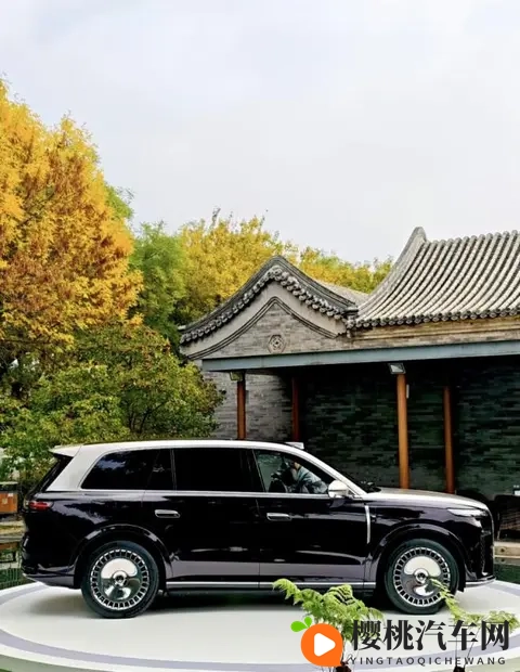 岚图泰山,从细节中读懂东方豪华-2