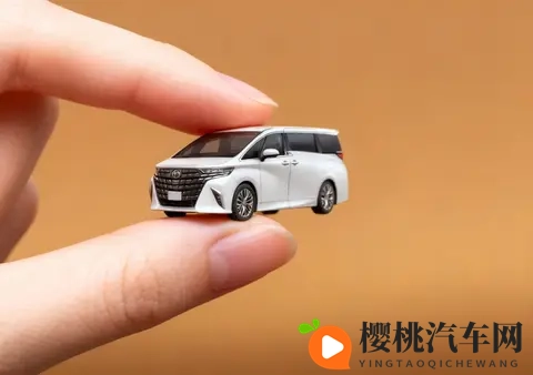 埃尔法23万有戏,以后咱也开开老板车-3