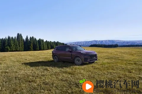 真人版二人生孩子:真人演绎:双星育幼记-1