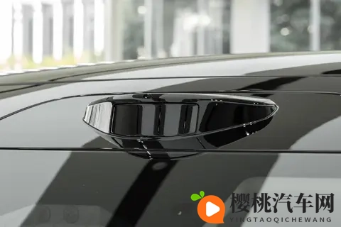 极氪009宜商宜家,四六七座MPV,纯电续航900公里,轴距3205毫米-2