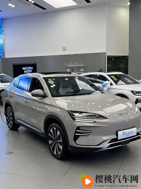 年度销量TOP10出炉,7款新能源霸榜,燃油车仅剩3席,时代真的变-2