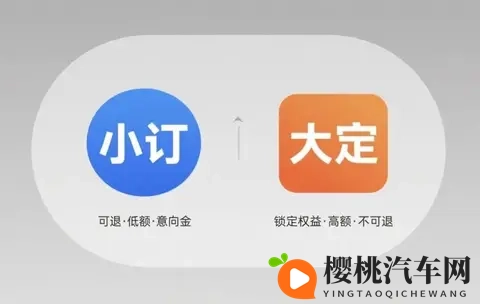 5块钱就能买一个“热情用户”?知名车评人又忍不住打假车企小订-1