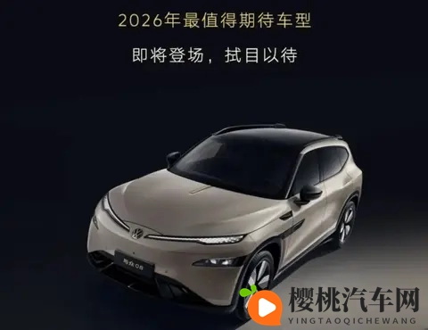 刘展术履新大众安徽，曾任捷豹路虎执行副总裁-2