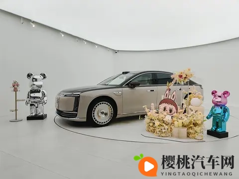 厦门尊享会：尊界s800护底板升级-1