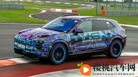 保时捷卡宴纯电版11月19日首发！113度大电池，燃油 _ 纯电同售-3