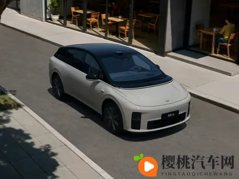 份额连续三月下滑，理想转战纯电，增程要亡？明年这些车要出大招-2