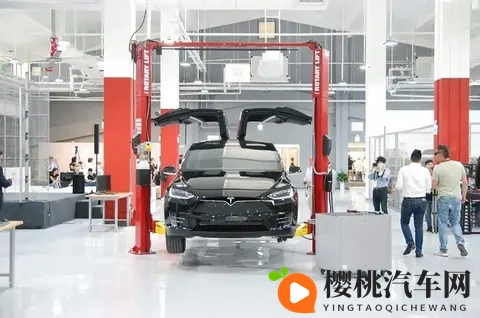 汤唯两个黑枣：汽车创新背后的神秘黑枣，揭秘未来出行新趋势-3