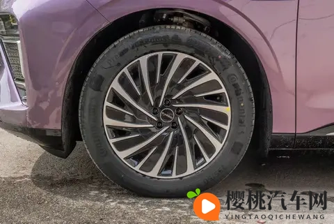 全家试驾星纪元ET,3000mm轴距真能装下幸福?全景天幕+飞鱼底盘-2