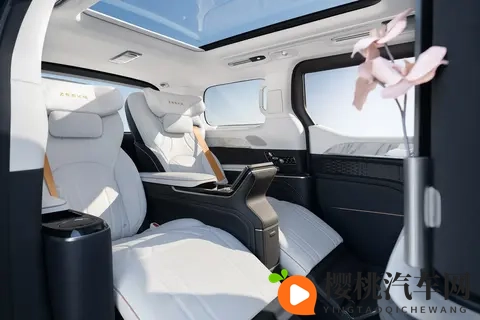 限时权益再次加码,极氪 009 如何影响高端MPV市场走势?-3