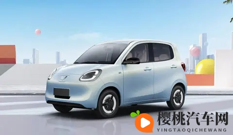 小车也有大市场：2025新能源小车“顶流”密码！-3