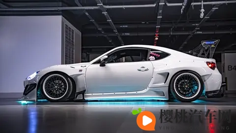 十月份汽车市场延续強劲增长态势-2