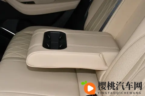 星越L 2026款 20TD 高功自动四驱东方曜望月版车型的体验如何?-3