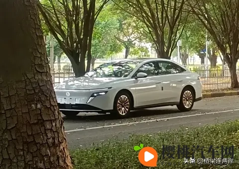 美女自插：性感佳人独享私密时光-1