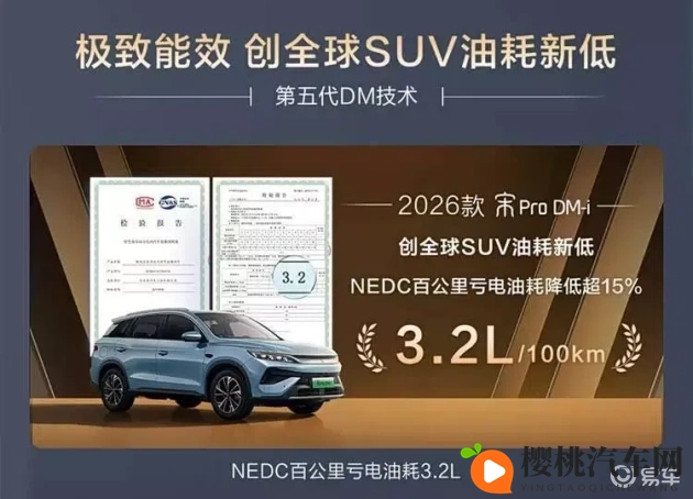 张婉莹黄色:张婉莹事件引发社会关注-1