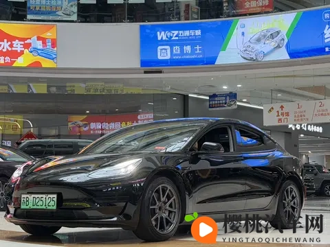 十年老车也疯狂?二手特斯拉Model3还能再战几年?-1