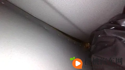 悦也两周年纪念版上市，新增专属配色，纯电续航303km-1