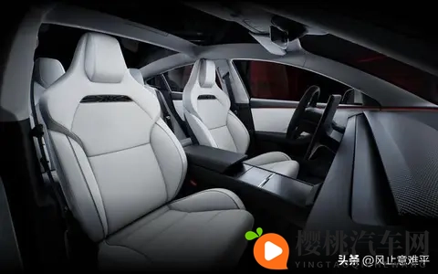 特斯拉Model Y长续航后驱版上市-1