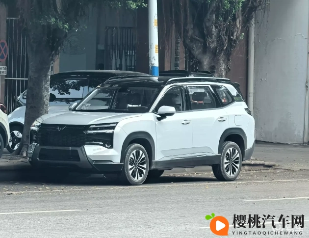 免费黄色APP：汽车APP新风向：免费模式颠覆行业？-2