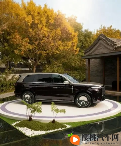 免费网站你应该知道我说的是什么吧:揭秘那些不容错过的免费网站信息-2