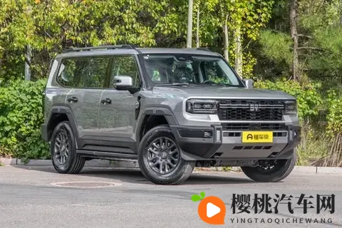 硬派越野,烂路不露怯,这款SUV咋样-3