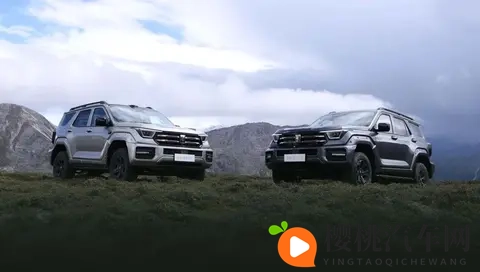 2498万元起,全新坦克400多动力齐发-1