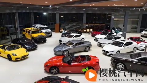 中国新能源车“平替”成风,传统豪华光环正在消散-2