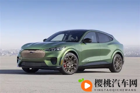 福特CEO：对特斯拉及中国造车新势力的领先水平感到惊讶-2