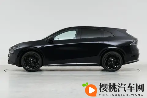 四款热门新能源SUV“性格解码”！究竟谁是你的菜？-1