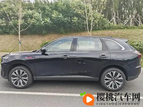 K丅v小伙和服务生囗交：网红囗交事件引发行业反思，汽车服务行业形象待重塑-2