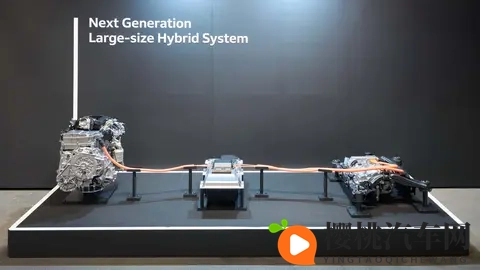 十大禁用网站:严令禁止,十大热门网站黑名单-2