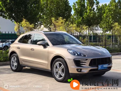 男同志与雌性宠物交l配：汽车定制风潮兴起，个性化需求引领新趋势-2