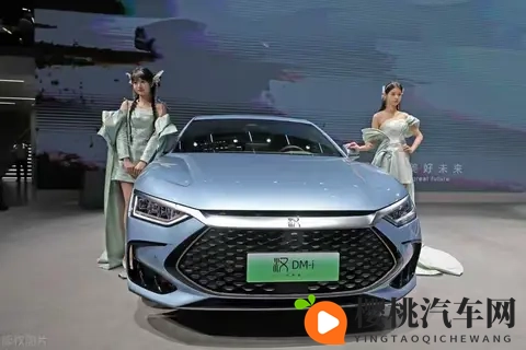 想买车先听我一句劝:普通人真的别买新能源车,5年后你会感谢我-2